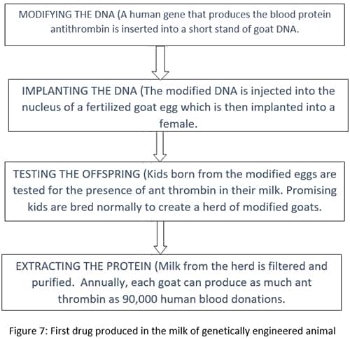 first drug produced in the milk of genetically engineered animal